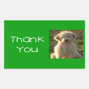 Thank You Goldendoodle Puppy Dog Sticker / Label