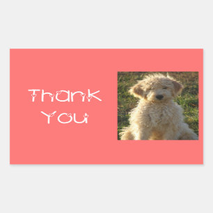 Thank You Goldendoodle Puppy Dog Sticker / Label