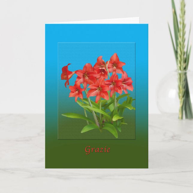 Thank You, Grazie, Italian Thank You Card (Front)