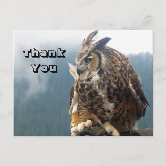 Thank You Great horned owl Postcard (Front)