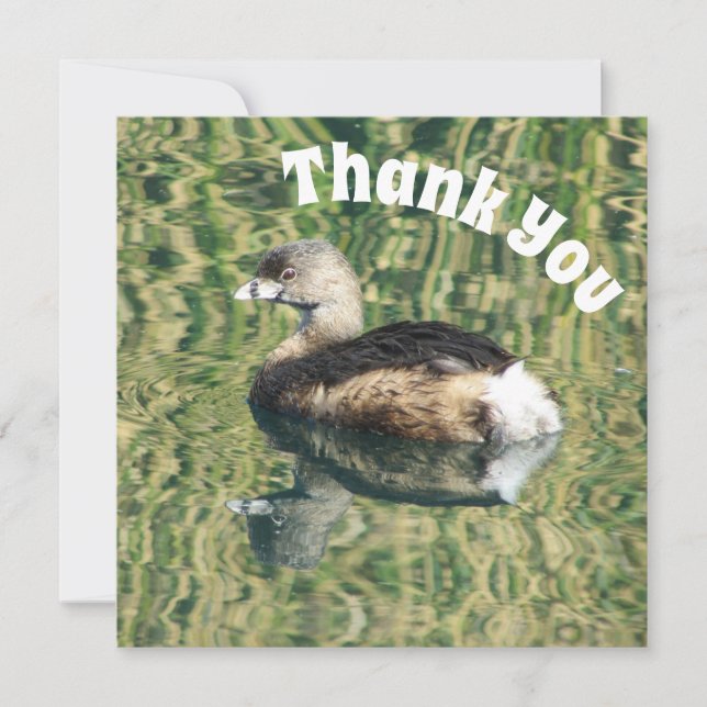 Thank You Grebe and Reflection Photo Appreciation (Front)