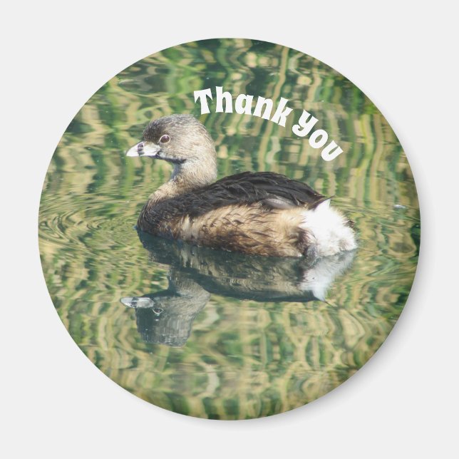 Thank You Grebe and Reflection Photo Appreciation Magnet (Front)