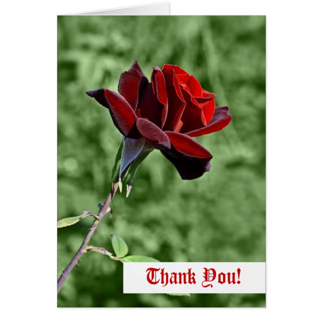 Thank You Greeting Card (Front)