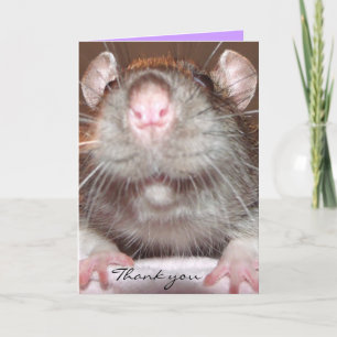 thank you grinning rat card