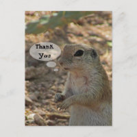 Thank You Ground Squirrel Photo Desert Animal