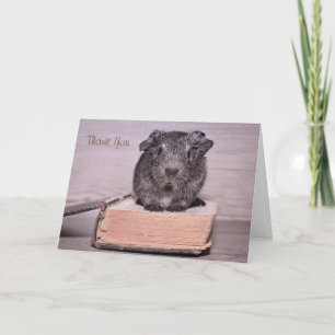 Thank You Guinea Pig Sat on a Book