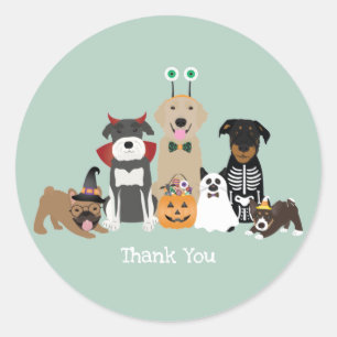 Thank You Halloween Spooky Pet Costumes Classic Round Sticker