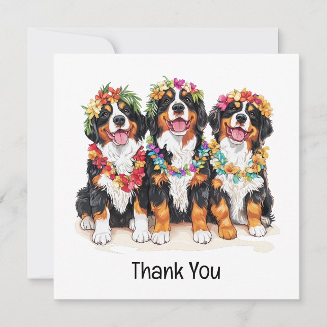 Thank You Hawaiian Bernese Mountain Dogs (Front)