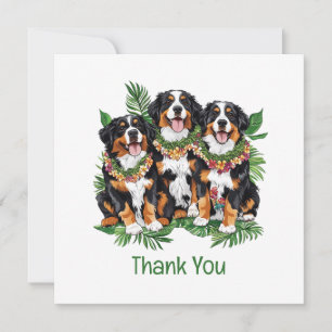Thank You Hawaiian Bernese Mountain Dogs Card
