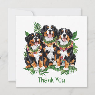 Thank You Hawaiian Bernese Mountain Dogs Card