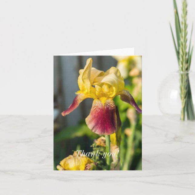 Thank you - Heirloom Iris Card (Front)
