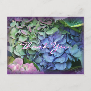 Thank You Hydrangea 4577- customise any occasion Postcard