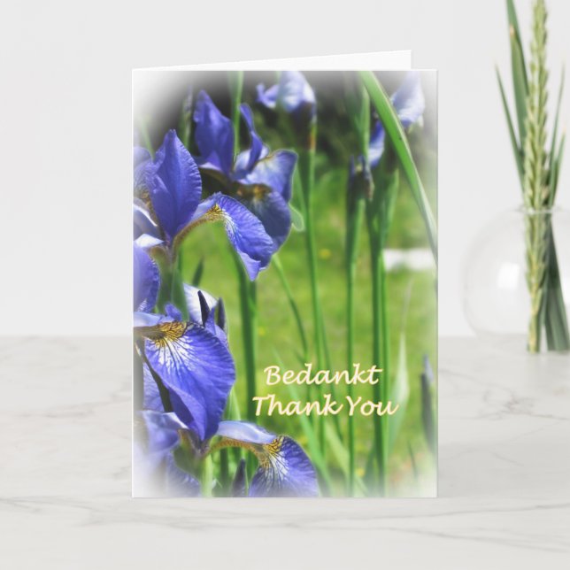 Thank You in Dutch and English (Front)