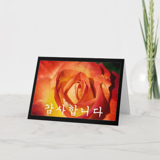 Thank you in Korean - orange rose (Front)