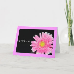 Thank you in Korean - pink daisy