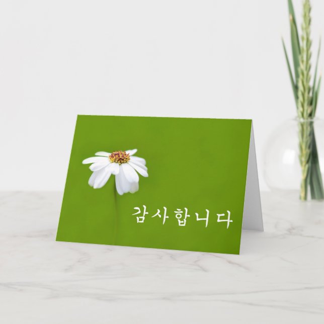 Thank you in Korean - white daisy (Front)