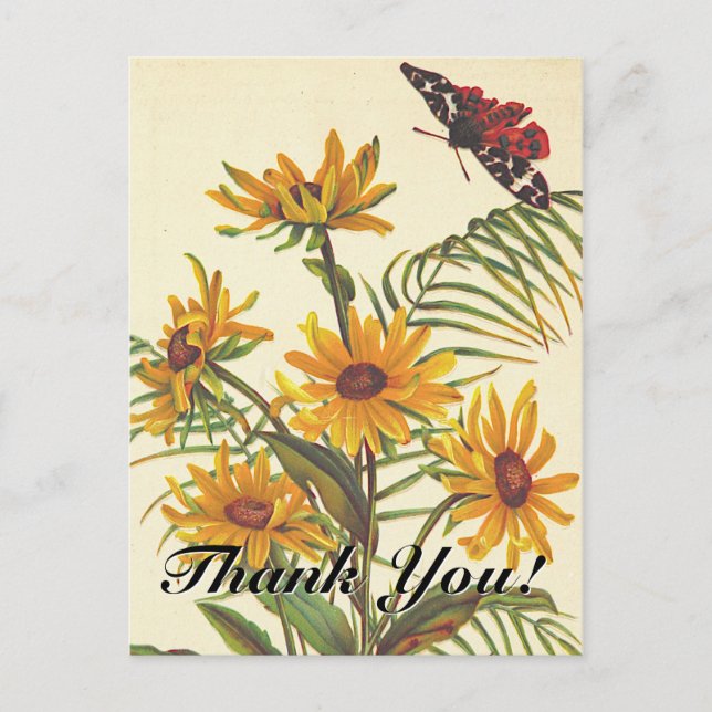 "Thank You!" + Insect, Flowers Postcard (Front)