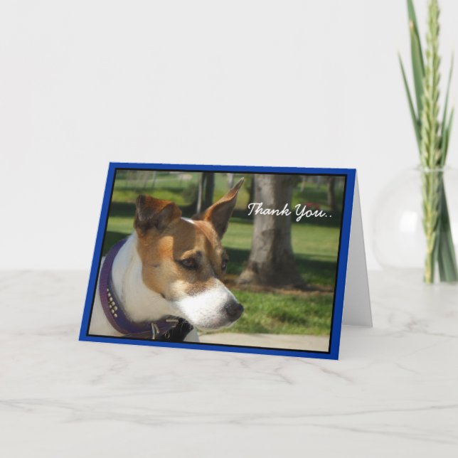 Thank You Jack Russell Terrier greeting card (Front)