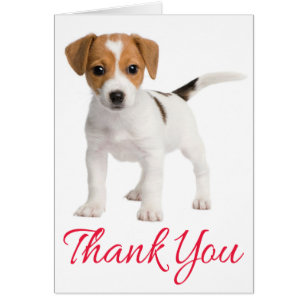 Lovely 55 Jack Russell Blank Card
