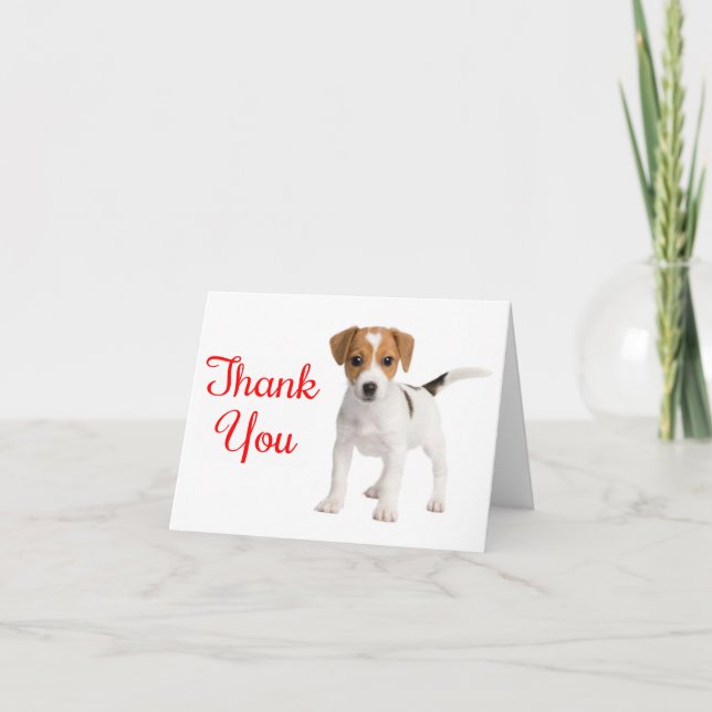 Thank You Jack Russell Terrier Puppy Dog Note Card (Front)