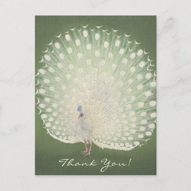 Thank You | Japanese Fine Art | Peacock Postcard (Front)