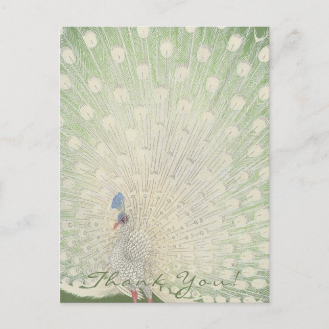 Thank You | Japanese Fine Art | Peacock Postcard (Front)