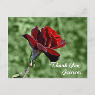 Thank You, Jessica! Postcard