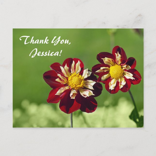 Thank You, Jessica! Postcard (Front)