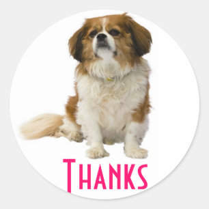 Thank You  King Charles Spaniel Puppy Sticker