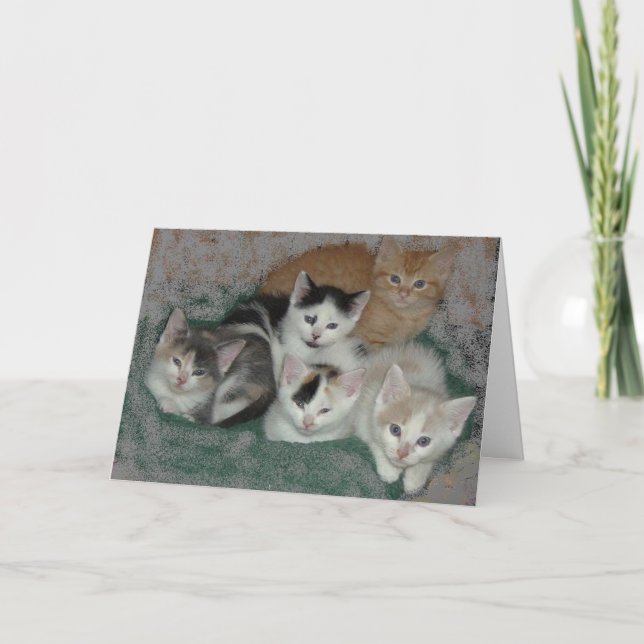 Thank You/Kittens You Card (Front)