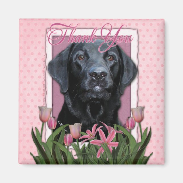 Thank You - Labrador - Black - Gauge Magnet (Front)