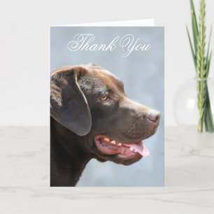 Thank You Labrador Retriever dog greeting card