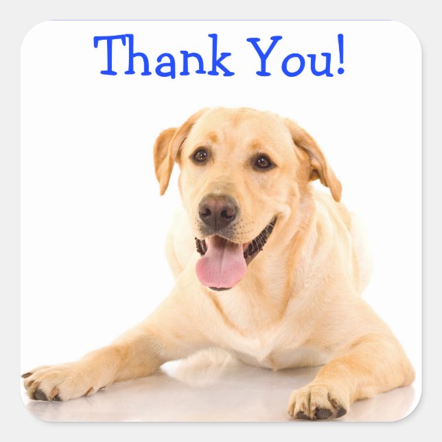 Thank You Labrador Retriever Dog Sticker Labels (Front)