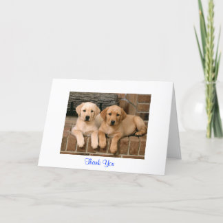 Thank You Labrador Retriever Puppies Greeting Card