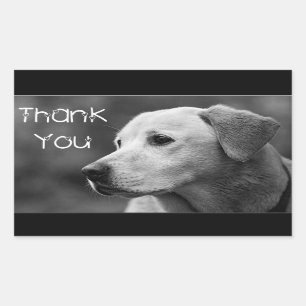 Thank You  Labrador Retriever Puppy Dog Sticker