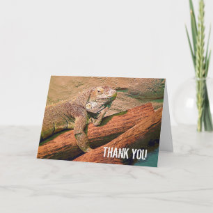 Thank You - Lazy Lizard
