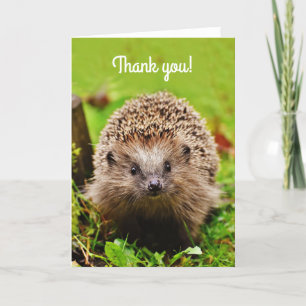 "Thank you!" Little Hedgehog in the Forest Thank You Card