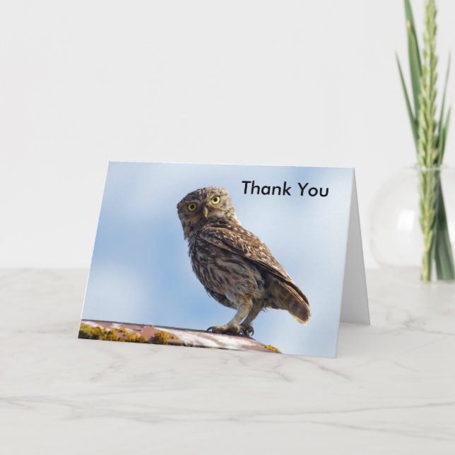 Thank You Little Owl Card (Front)