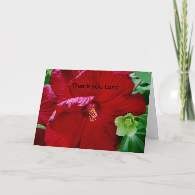 Thank you Lord (Front)