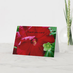 Thank you Lord Card
