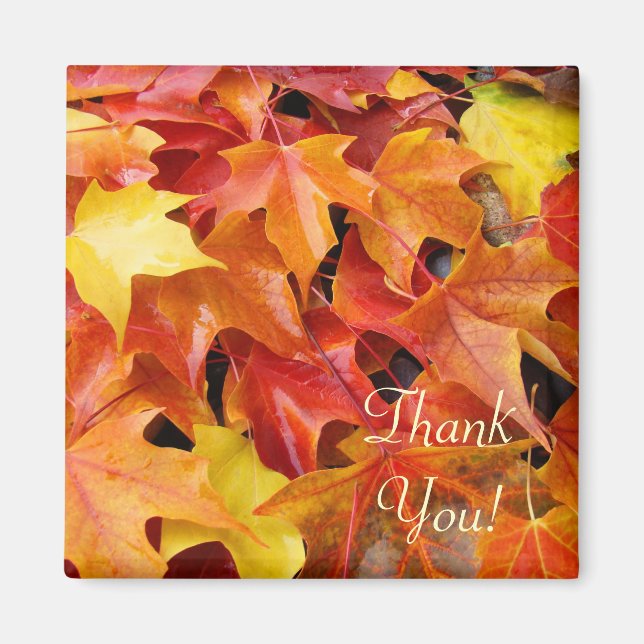 Thank You! magnet Fall Tree Leaves Autumn (Front)
