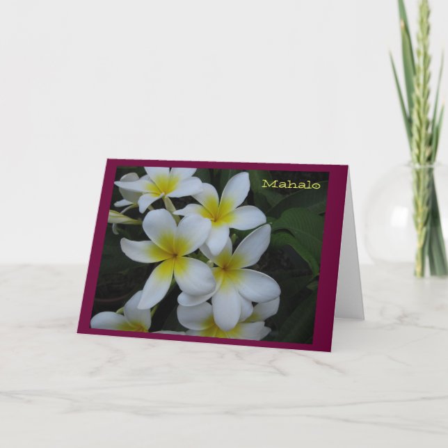 Thank you (Mahalo) card - white plumeria cascade (Front)