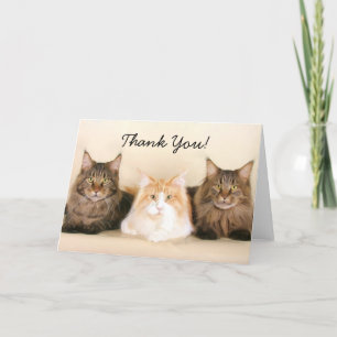 Thank You Maine Coon Cats greeting card