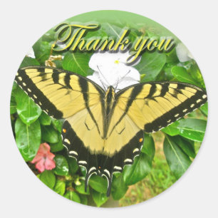 Thank You Male Tiger Swallowtail Butterfly Items Classic Round Sticker