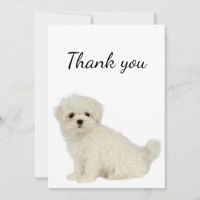 Thank You Maltese Dog Pet Animal  (Front)