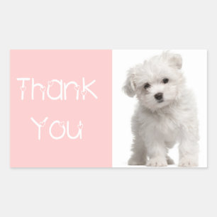 Thank You Maltese Puppy Dog Pink Sticker / Label