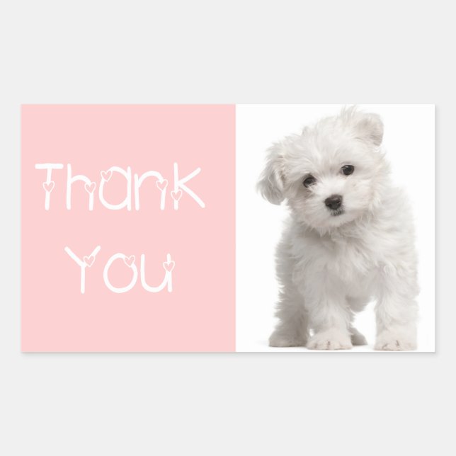 Thank You Maltese Puppy Dog Pink Sticker / Label (Front)