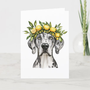 Thank You Merle Great Dane Dog Lemon Crown Card
