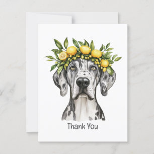 Thank You Merle Great Dane Dog Lemon Crown Postcard