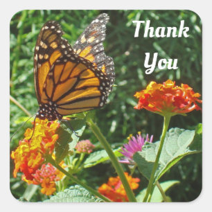 Thank You Monarch Butterfly Photo Appreciation Square Sticker